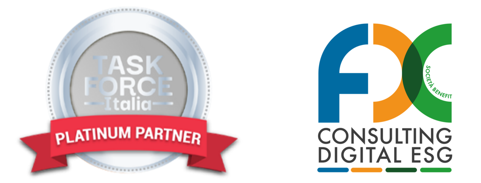 FDC - PLATINUM PARTNERS