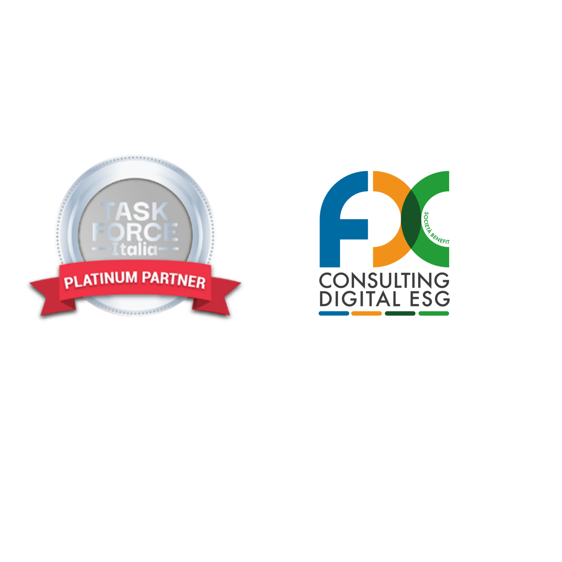 FDC - PLATINUM PARTNERS